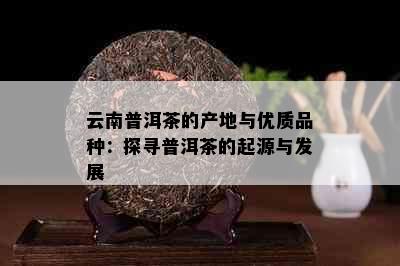 云南普洱茶的产地与优质品种：探寻普洱茶的起源与发展