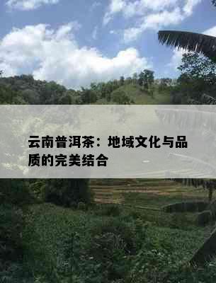 云南普洱茶：地域文化与品质的完美结合