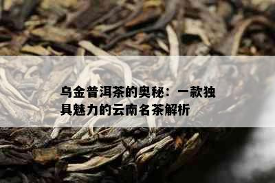 乌金普洱茶的奥秘：一款独具魅力的云南名茶解析