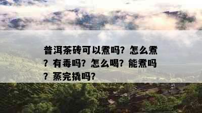 普洱茶砖可以煮吗？怎么煮？有吗？怎么喝？能煮吗？蒸完撬吗？