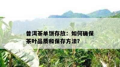 普洱茶单饼存放：如何确保茶叶品质和保存方法？