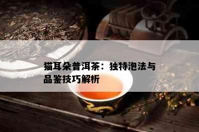 猫耳朵普洱茶：独特泡法与品鉴技巧解析