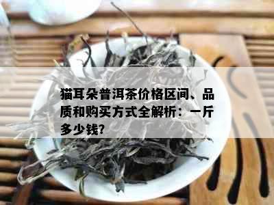 猫耳朵普洱茶价格区间、品质和购买方式全解析：一斤多少钱？