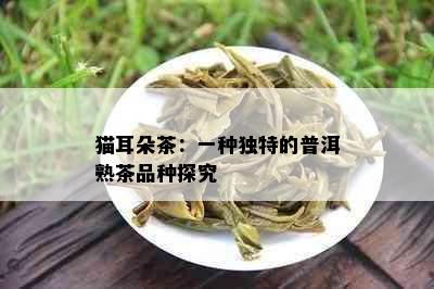 猫耳朵茶：一种独特的普洱熟茶品种探究