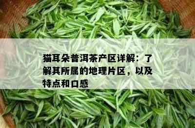 猫耳朵普洱茶产区详解：了解其所属的地理片区，以及特点和口感