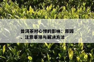 普洱茶对心悸的影响：原因、注意事项与解决方法