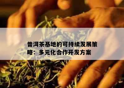 普洱茶基地的可持续发展策略：多元化合作开发方案