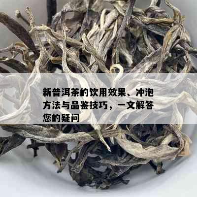 新普洱茶的饮用效果、冲泡方法与品鉴技巧，一文解答您的疑问