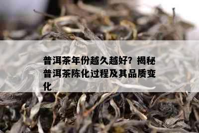 普洱茶年份越久越好？揭秘普洱茶陈化过程及其品质变化