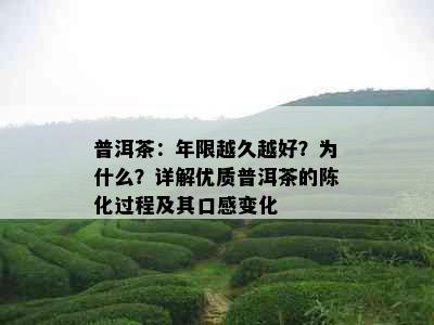 普洱茶：年限越久越好？为什么？详解优质普洱茶的陈化过程及其口感变化