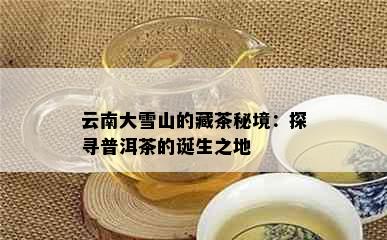 云南大雪山的藏茶秘境：探寻普洱茶的诞生之地