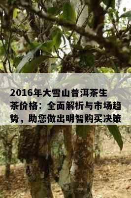 2016年大雪山普洱茶生茶价格：全面解析与市场趋势，助您做出明智购买决策