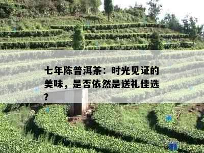 七年陈普洱茶：时光见证的美味，是否依然是送礼佳选？