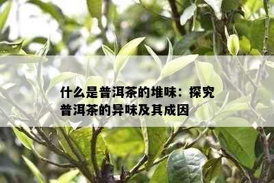 什么是普洱茶的堆味：探究普洱茶的异味及其成因