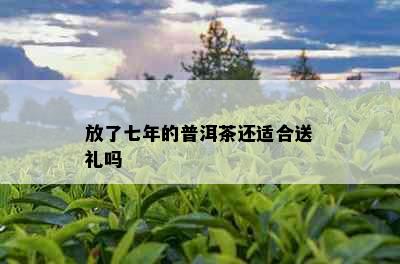 放了七年的普洱茶还适合送礼吗