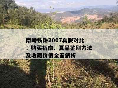 南峤铁饼2007真假对比：购买指南、真品鉴别方法及收藏价值全面解析