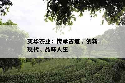 英华茶业：传承古道，创新现代，品味人生