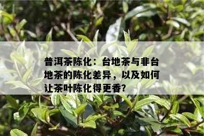 普洱茶陈化：台地茶与非台地茶的陈化差异，以及如何让茶叶陈化得更香？