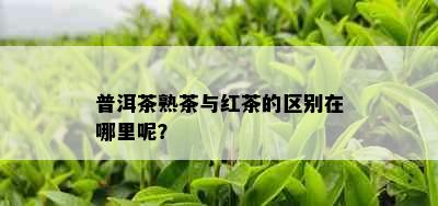 普洱茶熟茶与红茶的区别在哪里呢？