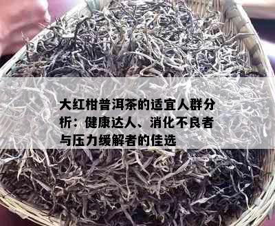 大红柑普洱茶的适宜人群分析：健康达人、消化不良者与压力缓解者的佳选