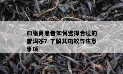 血脂高患者如何选择合适的普洱茶？了解其功效与注意事项