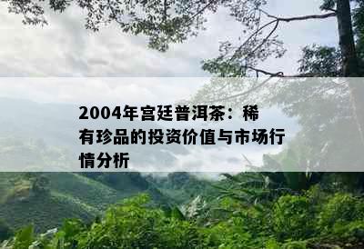 2004年宫廷普洱茶：稀有珍品的投资价值与市场行情分析