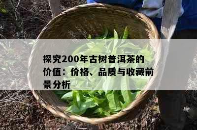 探究200年古树普洱茶的价值：价格、品质与收藏前景分析