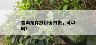 普洱茶存放用密封袋，可以吗？