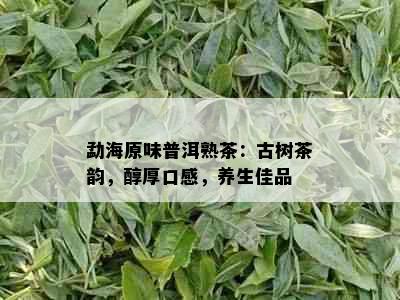 勐海原味普洱熟茶：古树茶韵，醇厚口感，养生佳品