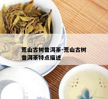 荒山古树普洱茶-荒山古树普洱茶特点描述