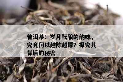 普洱茶：岁月酝酿的韵味，究竟何以越陈越厚？探究其背后的秘密