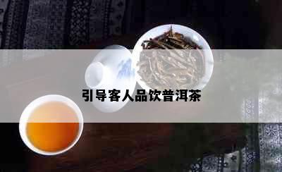 引导客人品饮普洱茶