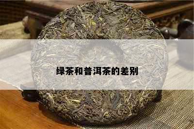 绿茶和普洱茶的差别