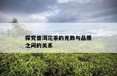 探究普洱沱茶的克数与品质之间的关系