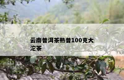 云南普洱茶熟普100克大沱茶