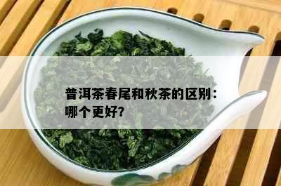 普洱茶春尾和秋茶的区别：哪个更好？