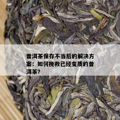 普洱茶保存不当后的解决方案：如何挽救已经变质的普洱茶？