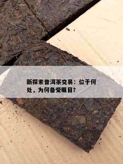 新探索普洱茶交易：位于何处，为何备受瞩目？