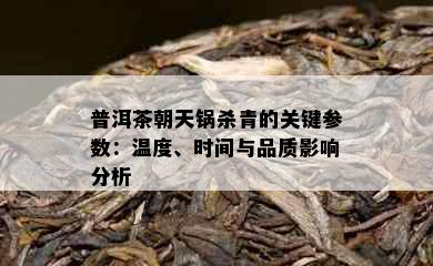 普洱茶朝天锅杀青的关键参数：温度、时间与品质影响分析