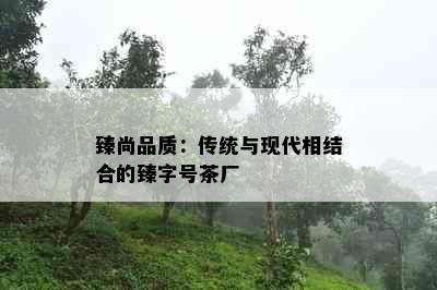 臻尚品质：传统与现代相结合的臻字号茶厂