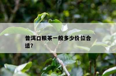 普洱口粮茶一般多少价位合适？