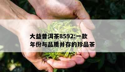 大益普洱茶8592:一款年份与品质并存的珍品茶