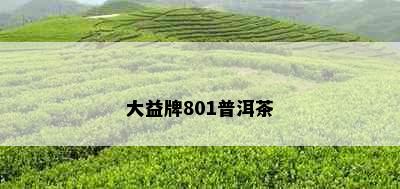 大益牌801普洱茶