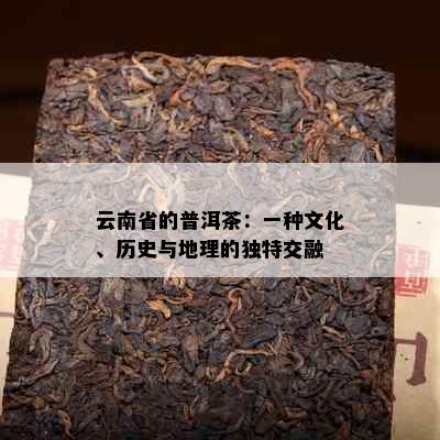 云南省的普洱茶：一种文化、历史与地理的独特交融