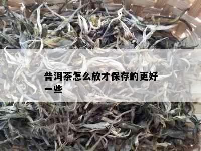 普洱茶怎么放才保存的更好一些