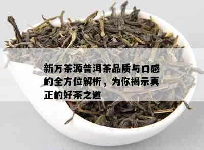 新万茶源普洱茶品质与口感的全方位解析，为你揭示真正的好茶之道