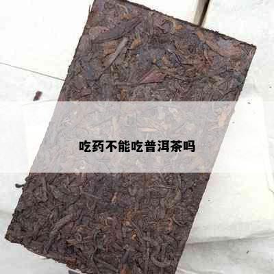 吃不能吃普洱茶吗