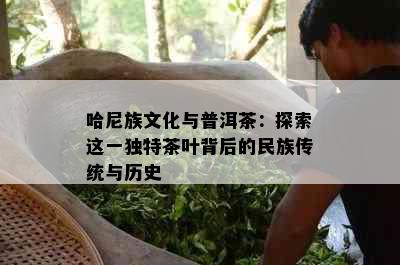 哈尼族文化与普洱茶：探索这一独特茶叶背后的民族传统与历史