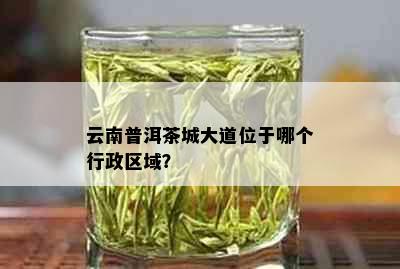 云南普洱茶城大道位于哪个行政区域？