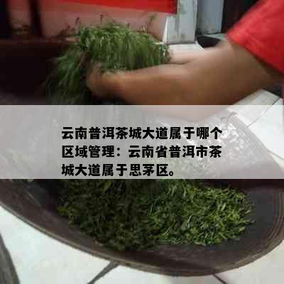 云南普洱茶城大道属于哪个区域管理：云南省普洱市茶城大道属于思茅区。